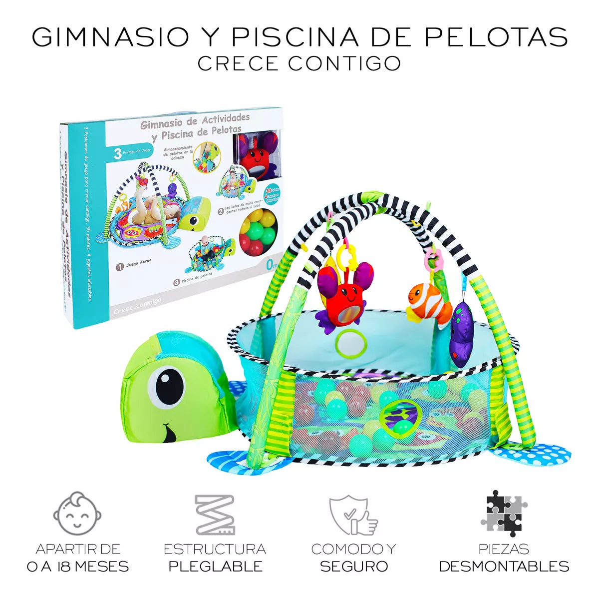 Gimnasio Corral Piscina de Pelotas 4 en 1