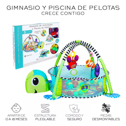 Gimnasio Corral Piscina de Pelotas 4 en 1