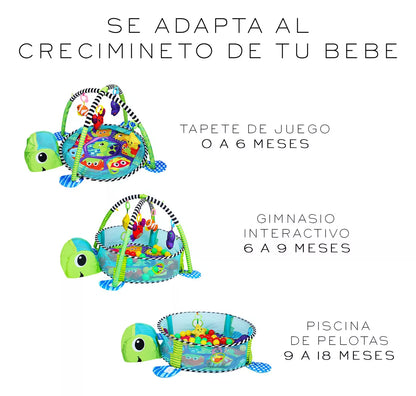 Gimnasio Corral Piscina de Pelotas 4 en 1