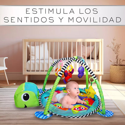 Gimnasio Corral Piscina de Pelotas 4 en 1