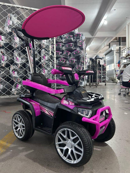 Carro Montable Electrico